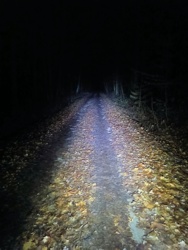 e6f4b201-bb24-46b3-9d86-764ff2662284