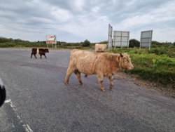 76d340f6-3e18-4602-a283-7c83c8d3befb