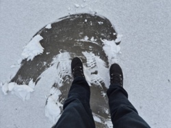 5dda18ef-440d-42cb-846e-24bbfcfc1c3d