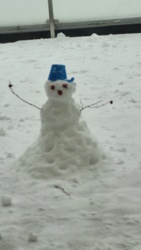 Druga tura wyborów w Polsce 2050 unieważniona