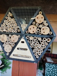 98c1b22c-c5b5-444d-8958-a7b072486333