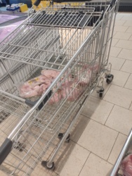 dd8387d7-0560-4c3e-99f0-9ab698a9a615