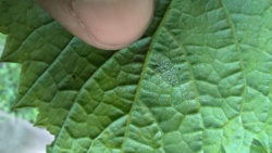 4adf884e-7cda-4bc1-b4c2-953eac391b84