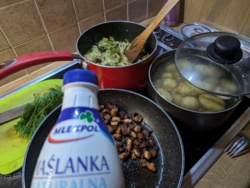 9f6d5cac-fd1b-4fab-854c-854368af3443