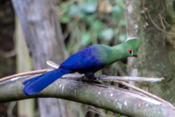 bcdf3d81-8990-4442-9af4-85d6c9103c23