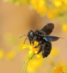 b78ce125-beb4-4556-8203-418dcf01013e