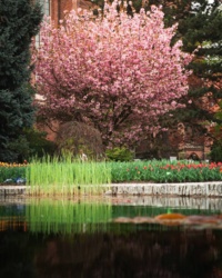 8a227835-55c6-4f10-9097-8e72d843237d