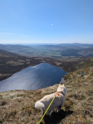 561d8bd2-2abb-4836-99db-c10e0c89ace3