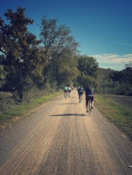 ee8d19d8-7726-494a-b2ab-3462f04a7e2a