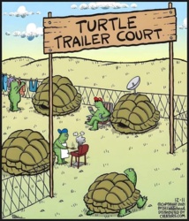 12f76e55-0fec-4598-85b5-b5539e2ecff0