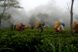 c4a5632f-cd61-4403-91c0-f5e485889e87