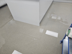 a1d0d57b-097c-4ecc-866a-61cb67fdfdb4