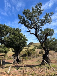 1c9b23f4-0572-495c-b767-98aea365bcd5