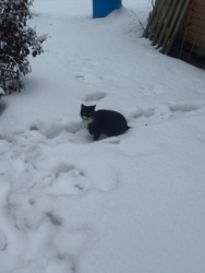 757f9cb4-f263-4628-a1bd-6603f1340c23