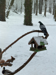 f613500f-0eae-45ea-8a7c-e41fe100093f