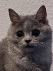 5edd1423-daa7-47a9-a3e0-3bd693cde857