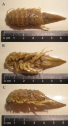 a1efa996-9e00-4e5b-b9ed-782228cb5f07