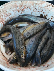 4581d874-380d-498b-8d16-0abaf879e95e