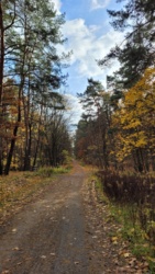 8e79c3c6-15eb-4664-8317-2b161de227ca