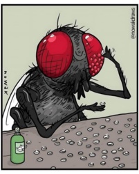 f952caf8-ec90-441f-904f-f374cb0925b9