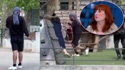 Posłanka Lewicy usprawiedliwia atak migranta na dzieci we Francji