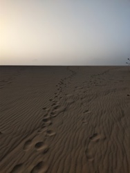 db1514c9-34f2-4476-ab10-2e099a8883ca