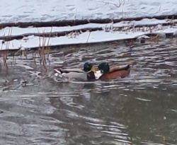 a89e40e6-a9c9-40d6-adaa-449069961706