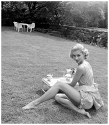 d2aaecce-a00e-4080-b51c-79a00ae8032d