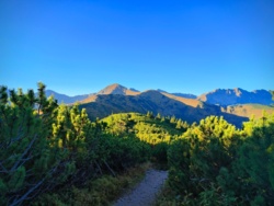 cb7facbf-9e30-421f-9e70-fba5e65d75a4