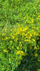 3957568f-bc84-4db7-942c-73d7cb0442cb