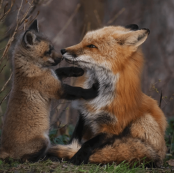 893e7102-ce79-49dd-bc8d-2c41aa94322b