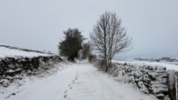 07e594e3-c85b-4531-a912-a5df2bd3a683