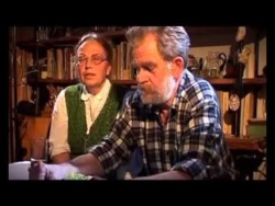 Plusy Dodatnie-Plusy Ujemne