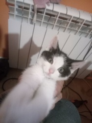 4ad3dcf4-1512-489d-b13d-0e649dccc6b0