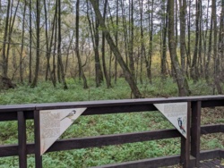 0bfd9b58-518f-457a-a2b1-c94fe7ea089f