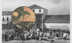 Manila 1882: epidemia i chaos