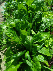 afb65730-084d-457f-a9f0-3f130d0f1736