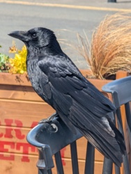 9b92c7d7-9f23-4387-a6c5-1fda4fcf3a60