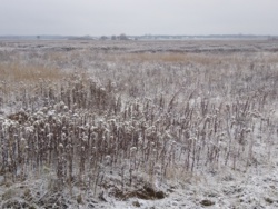 7588cb71-9c56-4a6c-9e0e-f674065c55d3