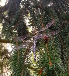 41455b81-a6a3-4f90-8a8b-b71c539422a9