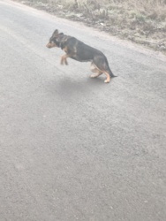 9dd30c24-b7ea-4520-8962-c50a298ca370