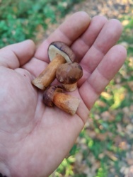 8b386b61-cf78-4c6f-8606-e7673a5e161c