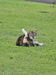 ee8d9bbc-0149-4c60-9d66-5546a961e51f