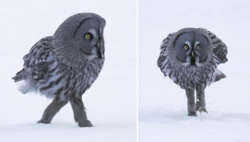 4e983fd7-067d-4517-8a53-7b7c81f5eba5