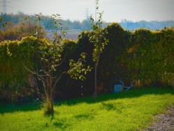 2fc78a27-dd80-4c8e-82dc-eb5991a21392