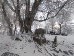 7cb0c987-5b27-416c-af67-649aaea4c16c