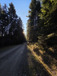 2e2dc4ac-bdfe-448e-ab69-a989e97c3134