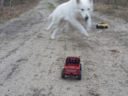 7e8fa798-68f7-4452-b7a8-85e7b9a44af6