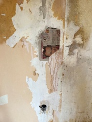 237f101b-b321-4938-8e21-281cfb27815f