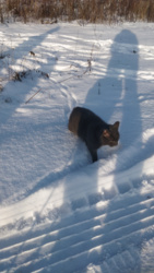 3c831eda-8734-4b30-ae71-3b90d6691bfd